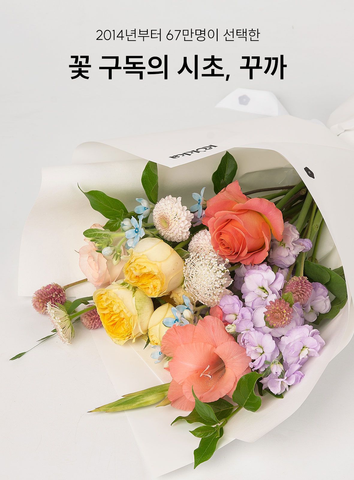 화병에 바로 꽂아 즐기는 꽃, 꽃다발 구독(M) - [25% 특별할인]